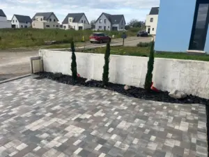 Cour en pavés gris nuancés avec massif de cyprès le long d’un muret